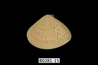 藏品(花蛤)的圖片